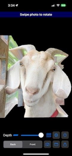 Photo Window Goat Face